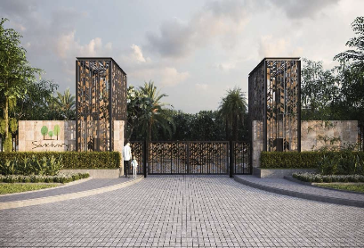 Sanctuary by Palm Exotica